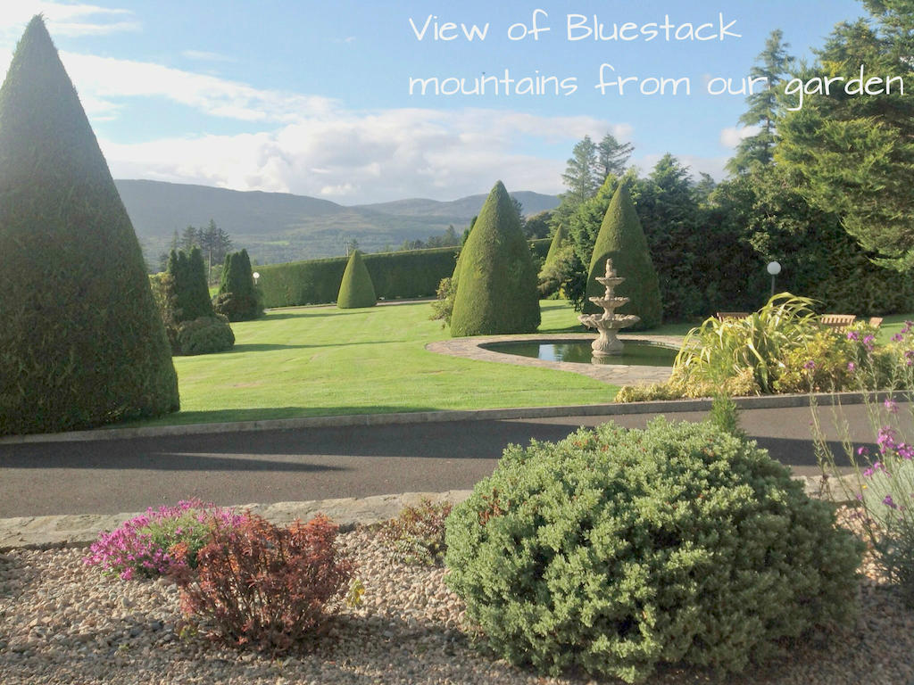 Donegal Town Arches Country House מראה חיצוני תמונה